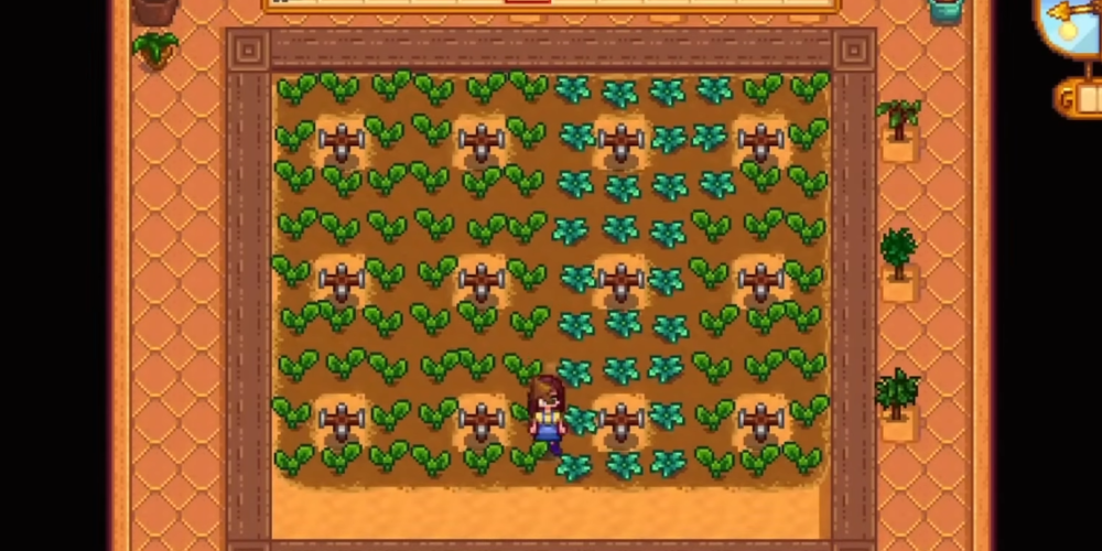 Fully unlocked Greenhouse in Stardew Valley with quality sprinklers placed for full coverage and crops planted year-round for maximum profit.